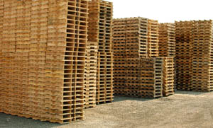 pallets wood for sale