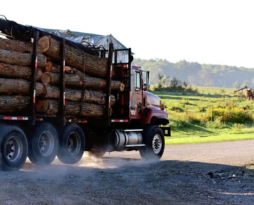 hardwood long timbers